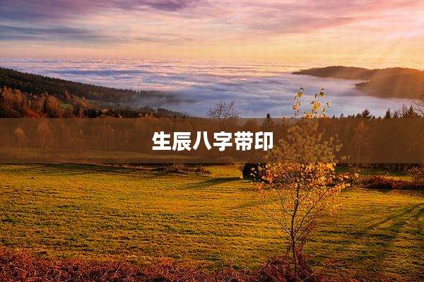 生辰八字带印