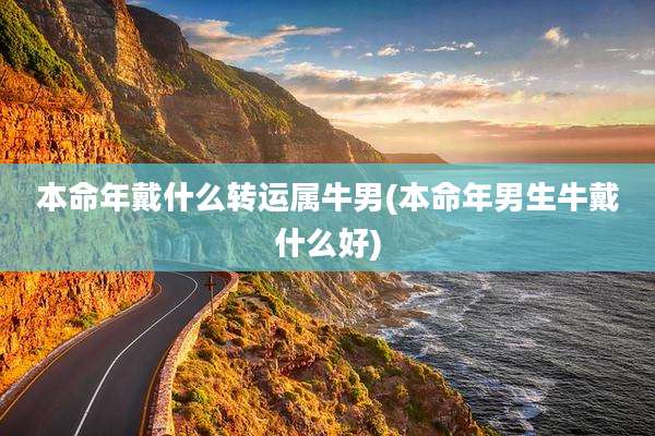 本命年戴什么转运属牛男(本命年男生牛戴什么好)