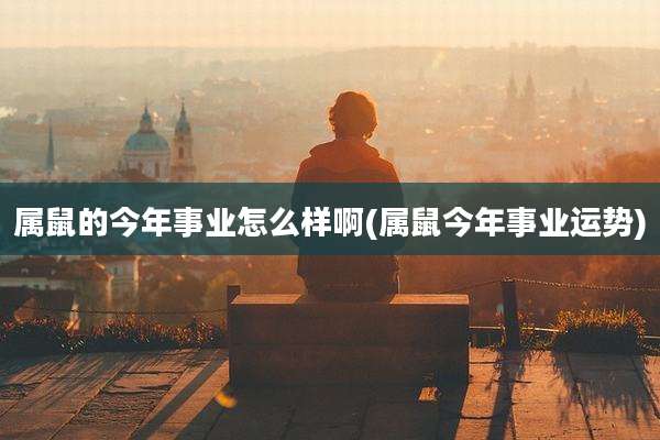 属鼠的今年事业怎么样啊(属鼠今年事业运势)
