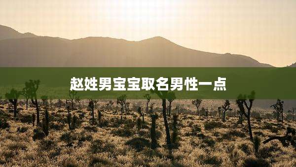 赵姓男宝宝取名男性一点