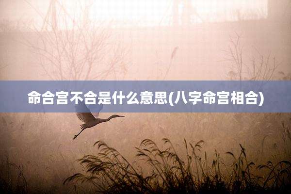 命合宫不合是什么意思(八字命宫相合)