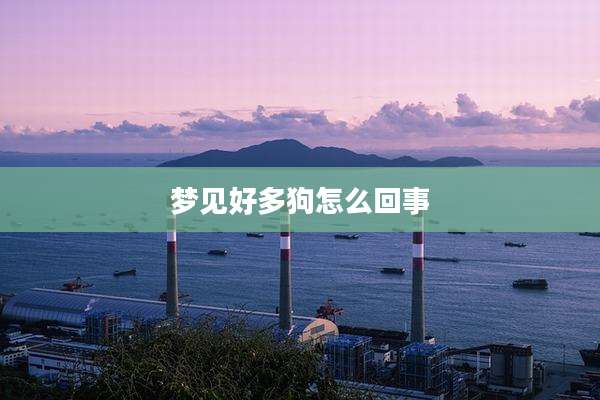 梦见好多狗怎么回事