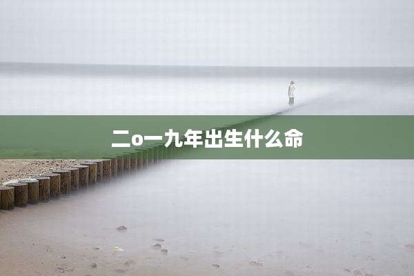 二o一九年出生什么命