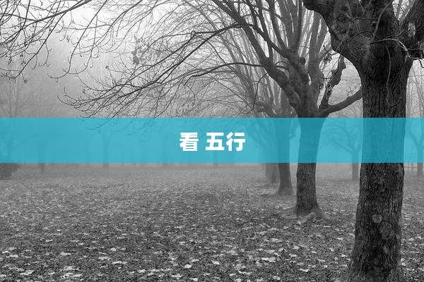 看 五行