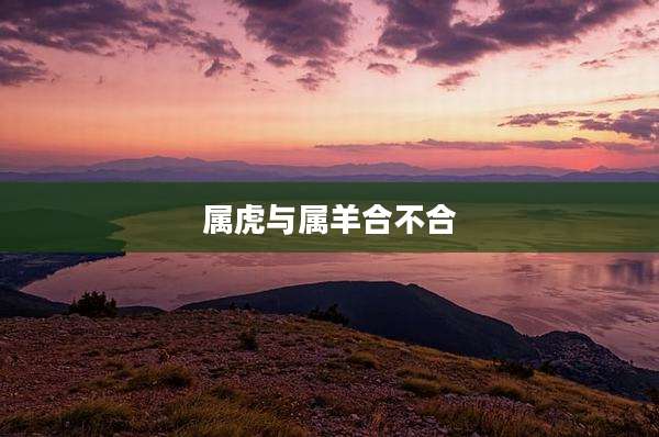 属虎与属羊合不合