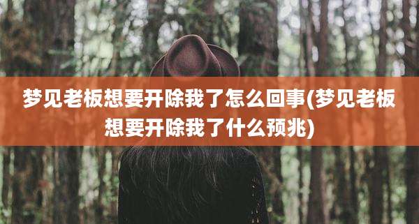梦见老板想要开除我了怎么回事(梦见老板想要开除我了什么预兆)