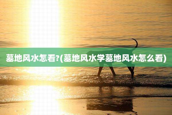 墓地风水怎看?(墓地风水学墓地风水怎么看)