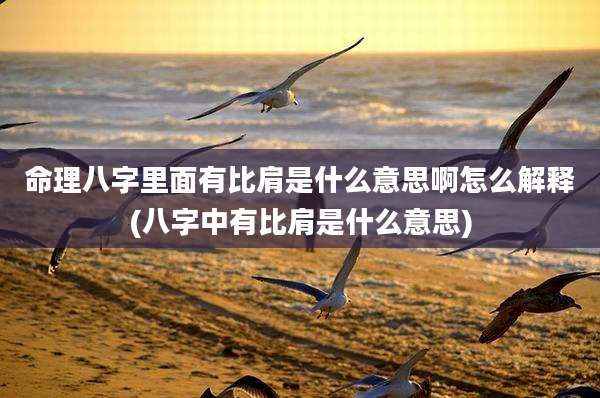 命理八字里面有比肩是什么意思啊怎么解释(八字中有比肩是什么意思)