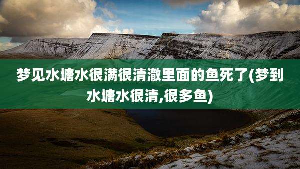 梦见水塘水很满很清澈里面的鱼死了(梦到水塘水很清,很多鱼)