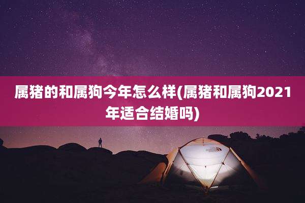 属猪的和属狗今年怎么样(属猪和属狗2021年适合结婚吗)