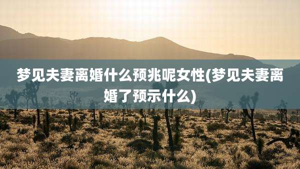梦见夫妻离婚什么预兆呢女性(梦见夫妻离婚了预示什么)