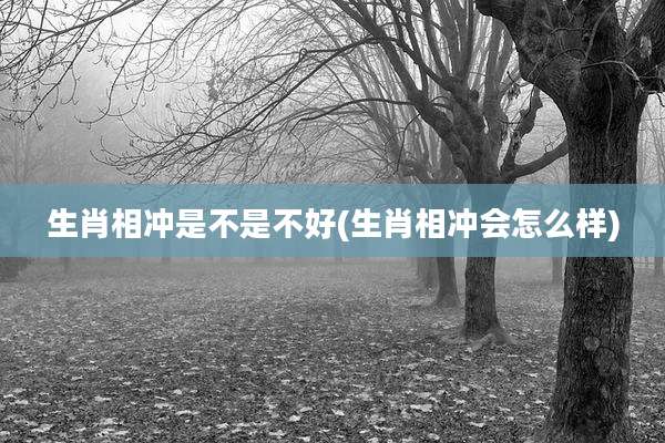 生肖相冲是不是不好(生肖相冲会怎么样)
