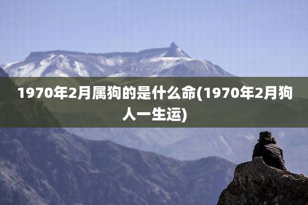 1970年2月属狗的是什么命(1970年2月狗人一生运)