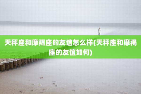 天秤座和摩羯座的友谊怎么样(天秤座和摩羯座的友谊如何)