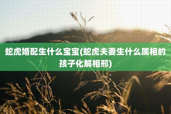 蛇虎婚配生什么宝宝(蛇虎夫妻生什么属相的孩子化解相邢)