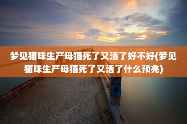梦见猫咪生产母猫死了又活了好不好(梦见猫咪生产母猫死了又活了什么预兆)