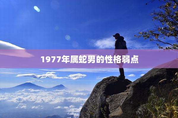 1977年属蛇男的性格弱点