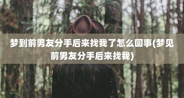 梦到前男友分手后来找我了怎么回事(梦见前男友分手后来找我)