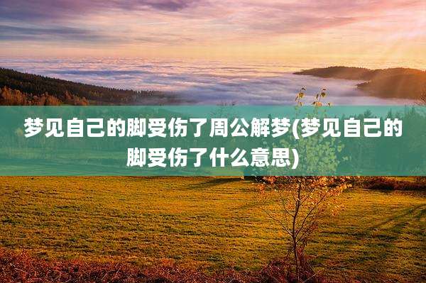 梦见自己的脚受伤了周公解梦(梦见自己的脚受伤了什么意思)