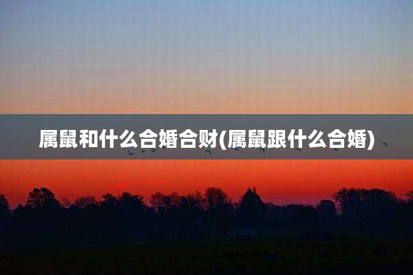 属鼠和什么合婚合财(属鼠跟什么合婚)
