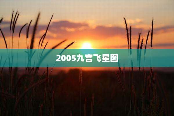2005九宫飞星图