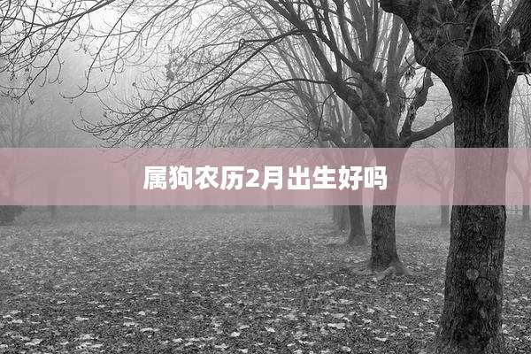 属狗农历2月出生好吗