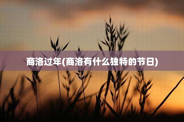 商洛过年(商洛有什么独特的节日)