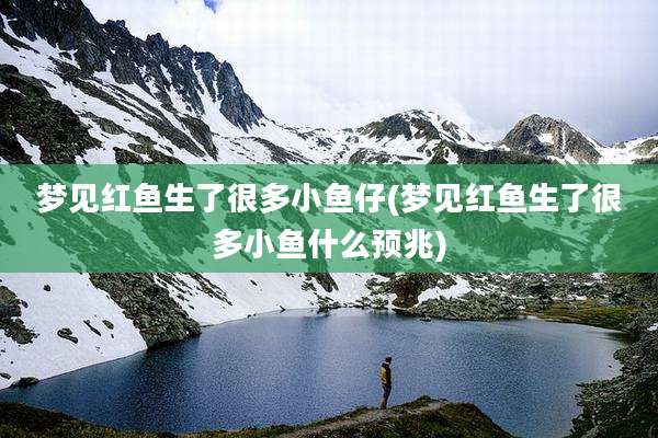 梦见红鱼生了很多小鱼仔(梦见红鱼生了很多小鱼什么预兆)