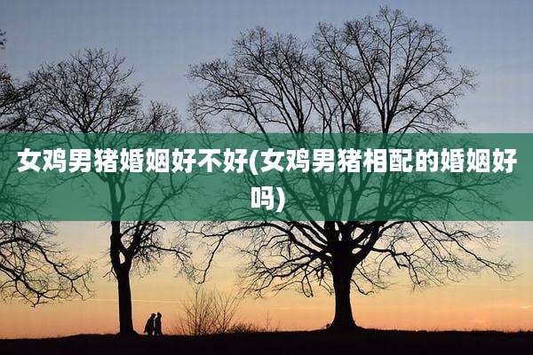 女鸡男猪婚姻好不好(女鸡男猪相配的婚姻好吗)