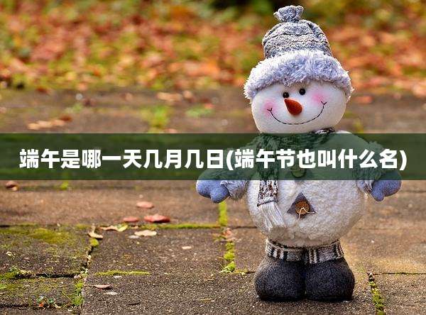 端午是哪一天几月几日(端午节也叫什么名)