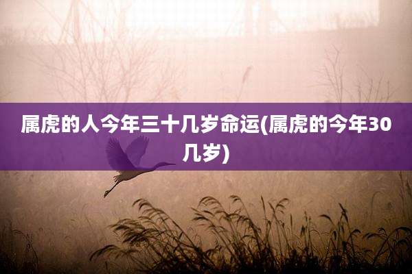 属虎的人今年三十几岁命运(属虎的今年30几岁)
