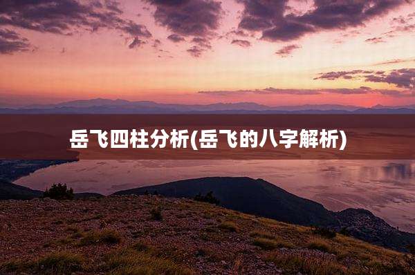 岳飞四柱分析(岳飞的八字解析)