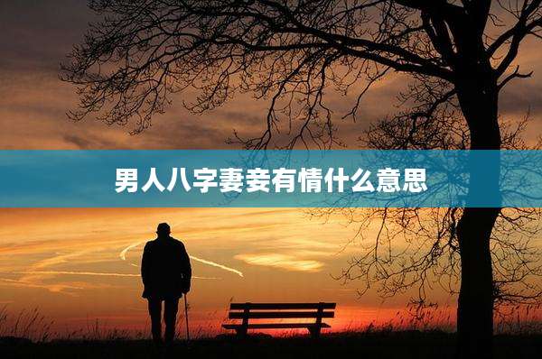 男人八字妻妾有情什么意思
