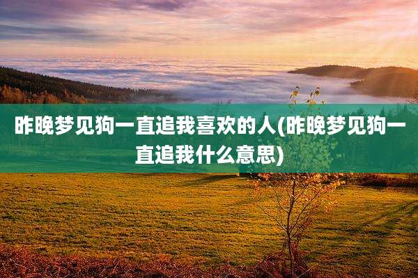 昨晚梦见狗一直追我喜欢的人(昨晚梦见狗一直追我什么意思)