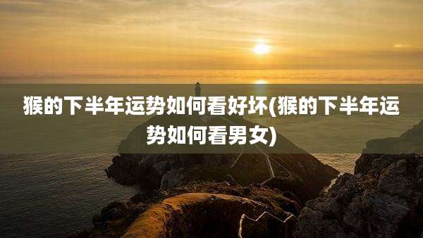 猴的下半年运势如何看好坏(猴的下半年运势如何看男女)