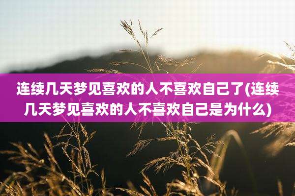 连续几天梦见喜欢的人不喜欢自己了(连续几天梦见喜欢的人不喜欢自己是为什么)