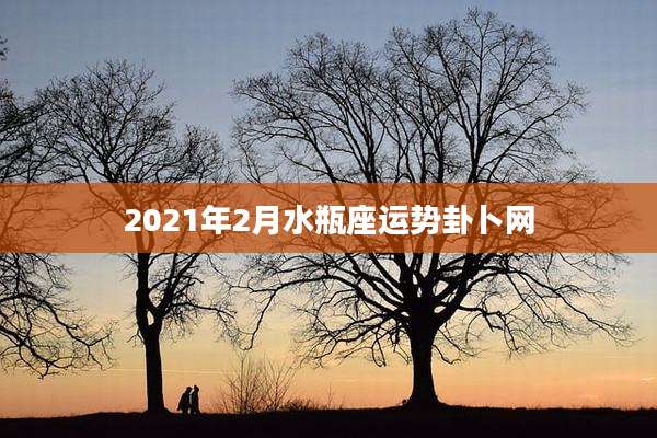 2021年2月水瓶座运势卦卜网