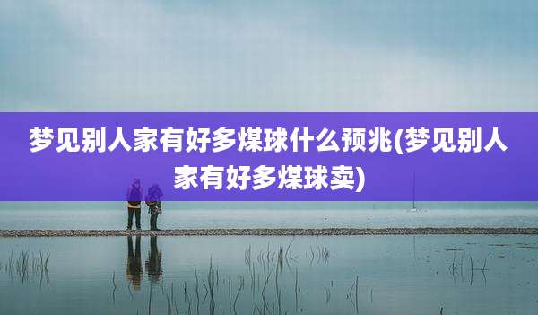 梦见别人家有好多煤球什么预兆(梦见别人家有好多煤球卖)