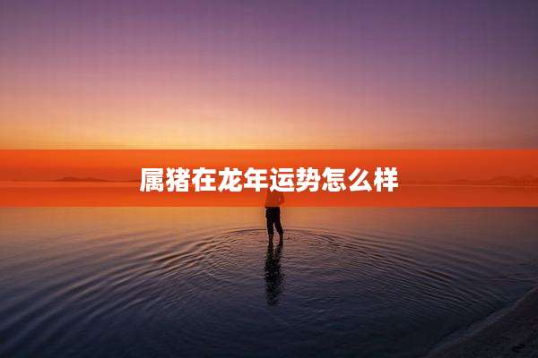 属猪在龙年运势怎么样