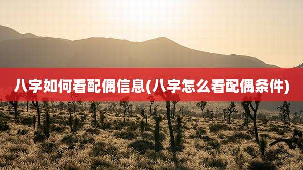 八字如何看配偶信息(八字怎么看配偶条件)