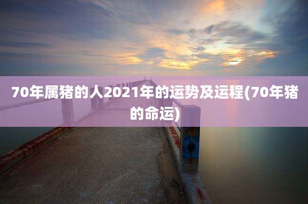 70年属猪的人2021年的运势及运程(70年猪的命运)