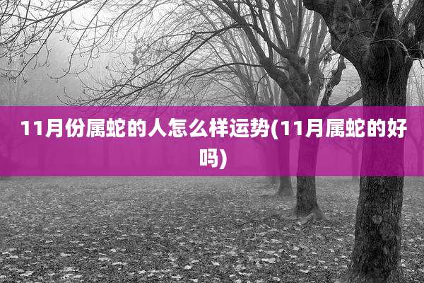 11月份属蛇的人怎么样运势(11月属蛇的好吗)