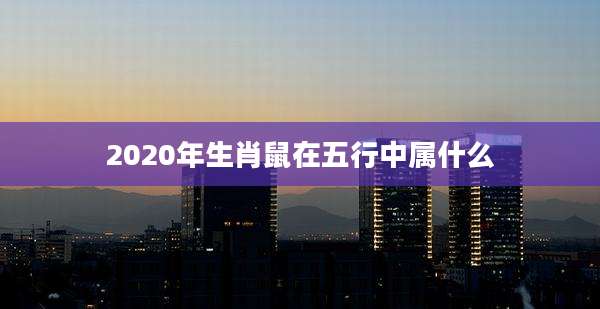 2020年生肖鼠在五行中属什么