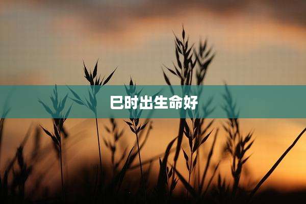 巳时出生命好