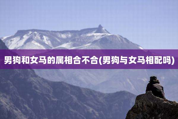 男狗和女马的属相合不合(男狗与女马相配吗)