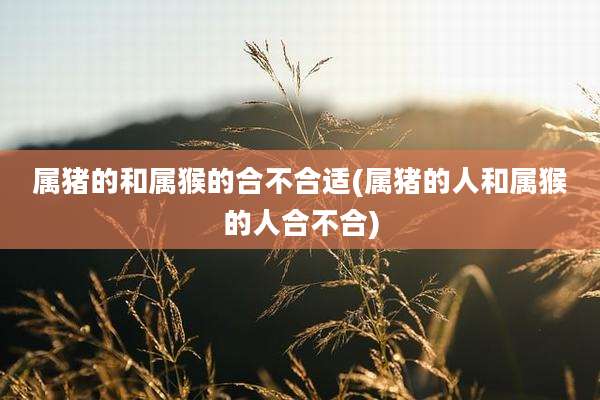 属猪的和属猴的合不合适(属猪的人和属猴的人合不合)