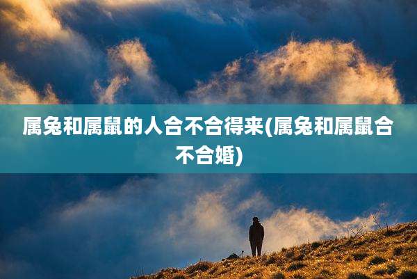 属兔和属鼠的人合不合得来(属兔和属鼠合不合婚)