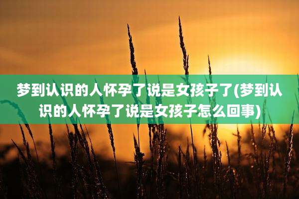 梦到认识的人怀孕了说是女孩子了(梦到认识的人怀孕了说是女孩子怎么回事)