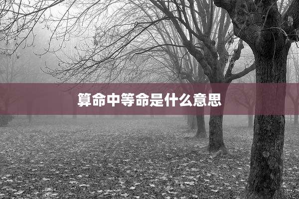 算命中等命是什么意思