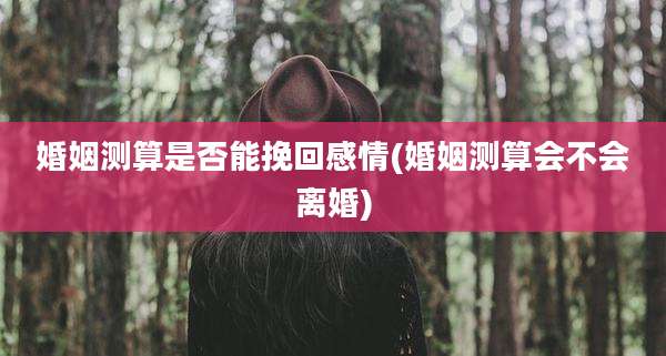 婚姻测算是否能挽回感情(婚姻测算会不会离婚)
